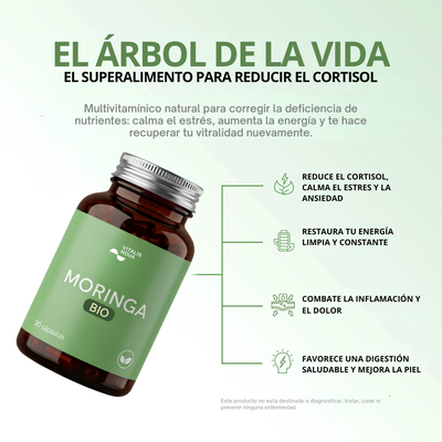 Moringa Pura | 90 Cápsulas